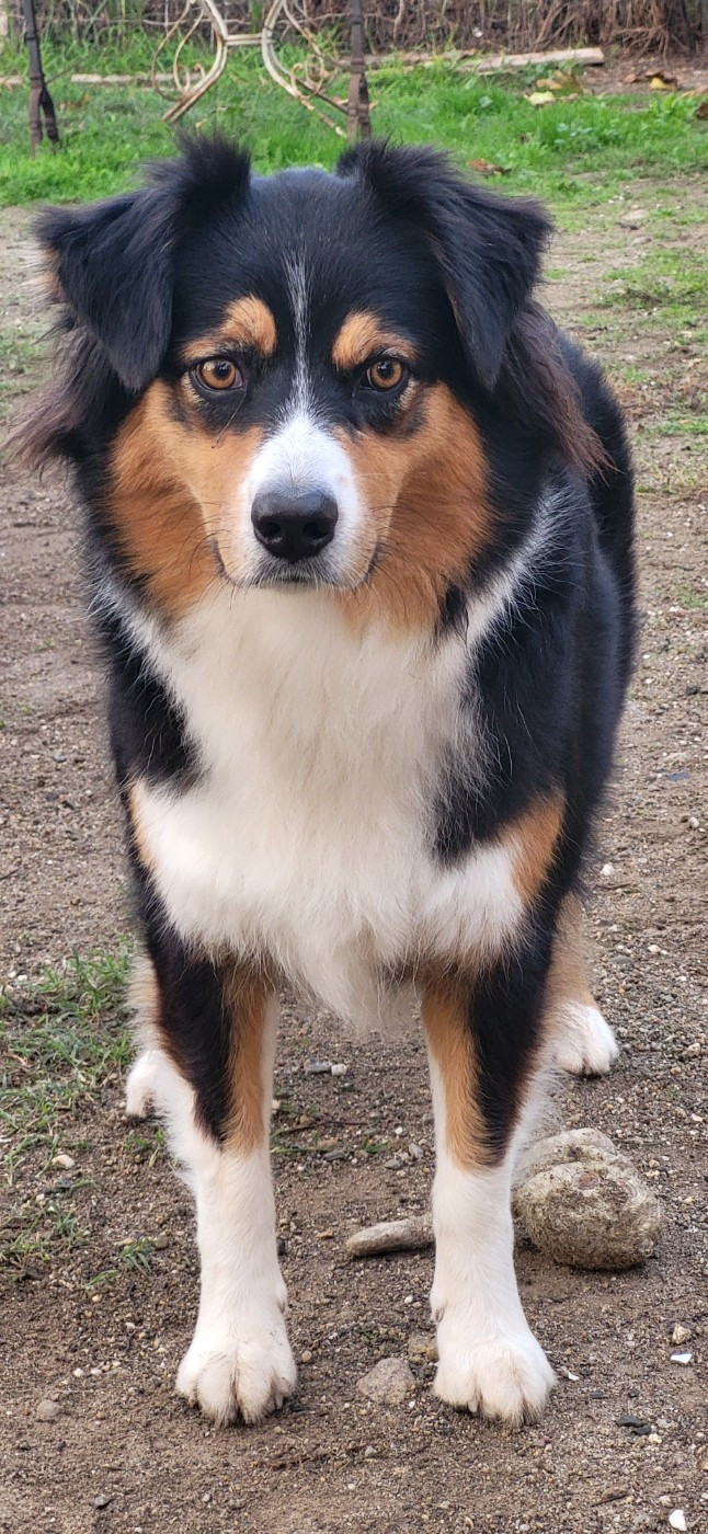Stella Di A Sperenza Trésors de Kallisté